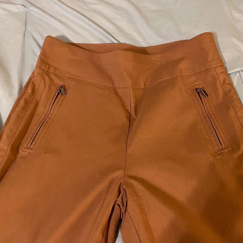 Brown Size 12 Pants by INC